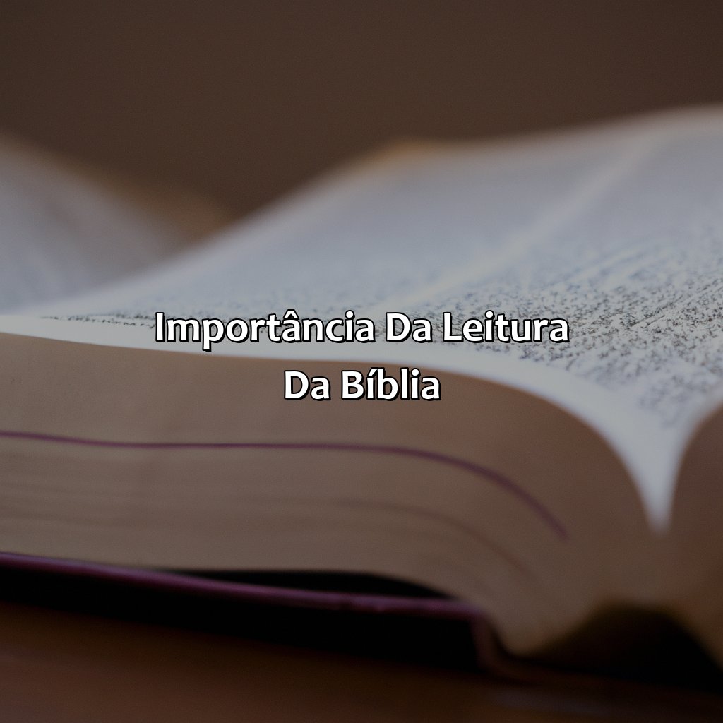 Importância da leitura da Bíblia-a bíblia toda o ano todo, 