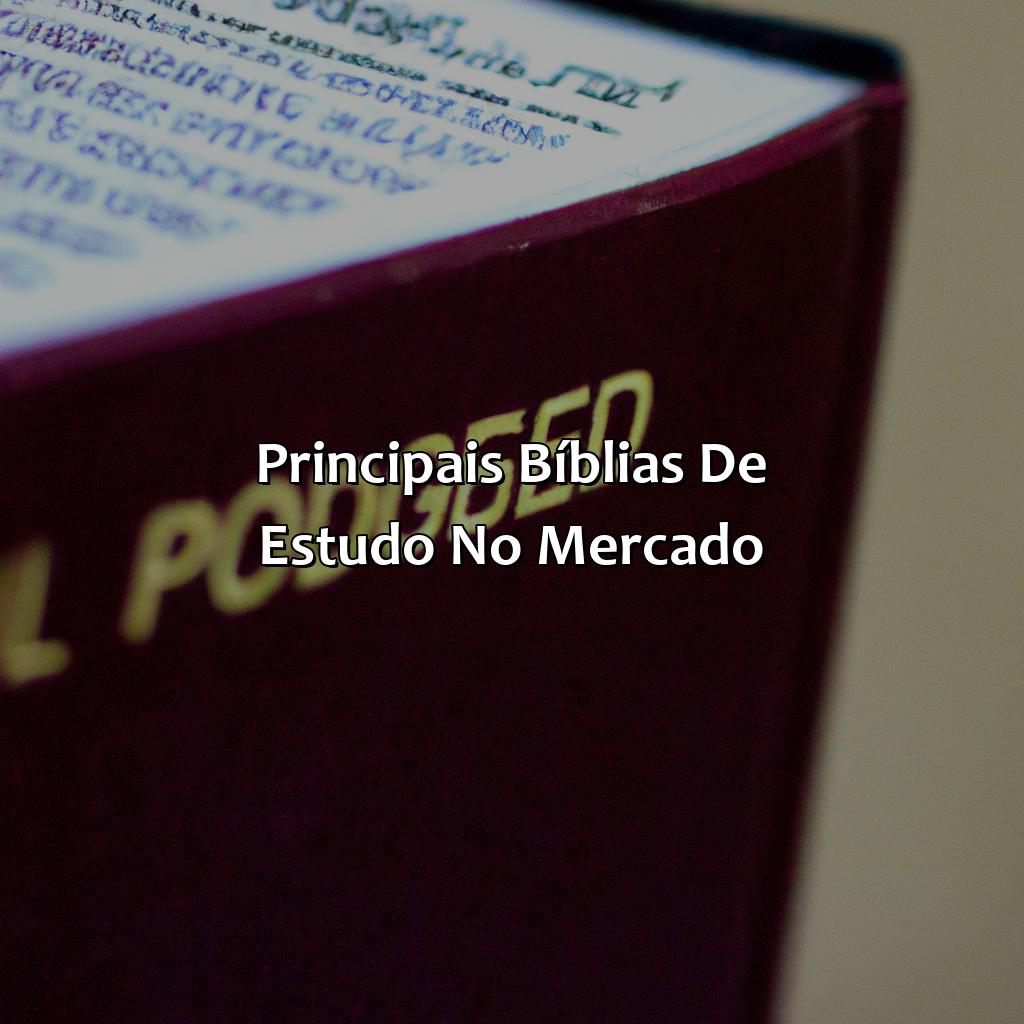 Principais Bíblias de Estudo no Mercado-a melhor bíblia de estudo, 