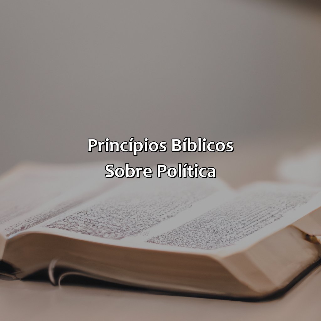 Princípios bíblicos sobre Política-o que a bíblia fala sobre política, 