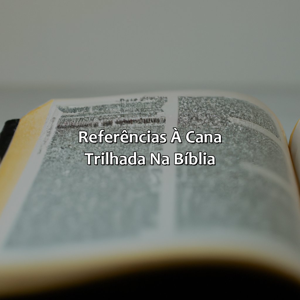 Referências à Cana Trilhada na Bíblia-o que significa cana trilhada na bíblia, 