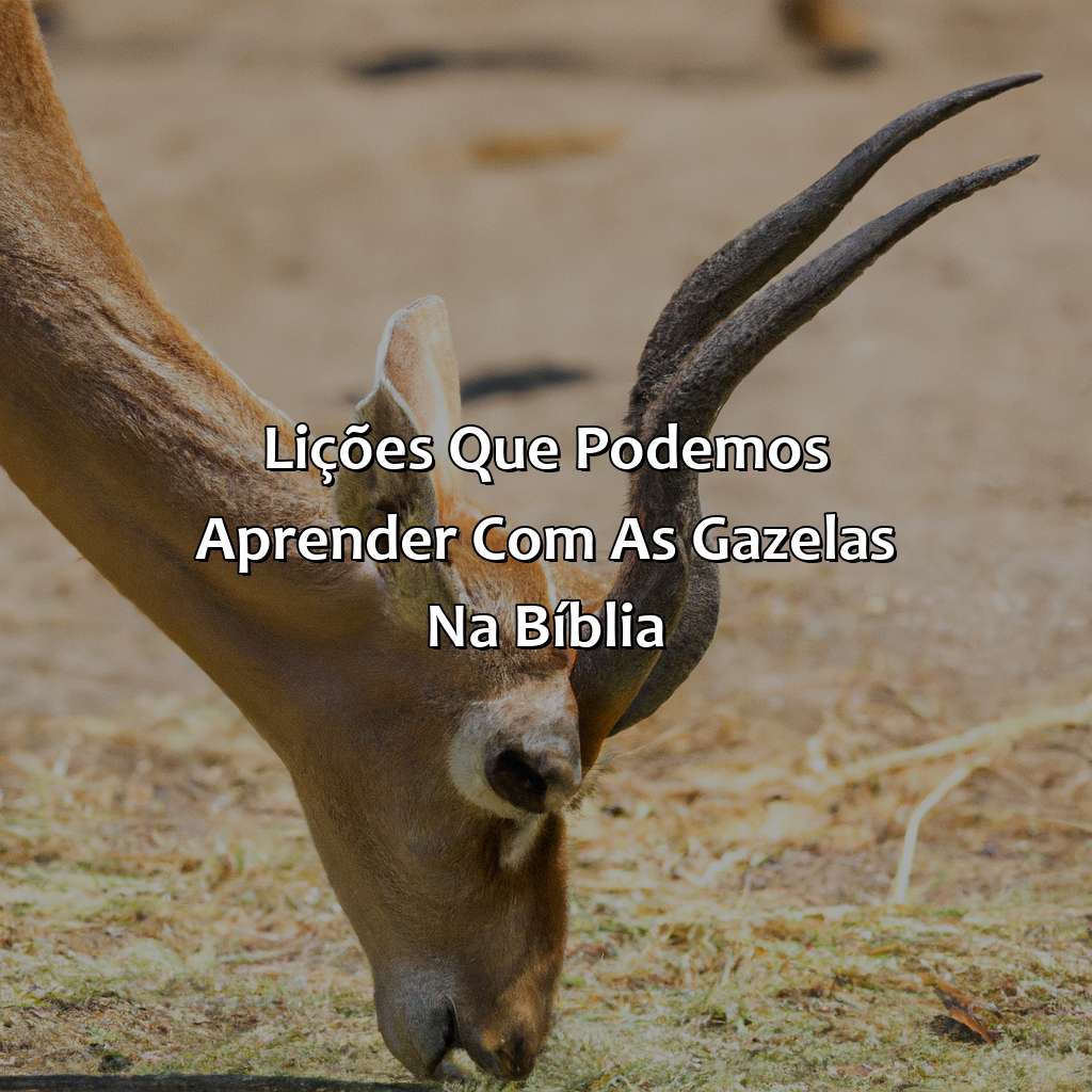Lições que podemos aprender com as gazelas na Bíblia-o que significa gazela na bíblia, 