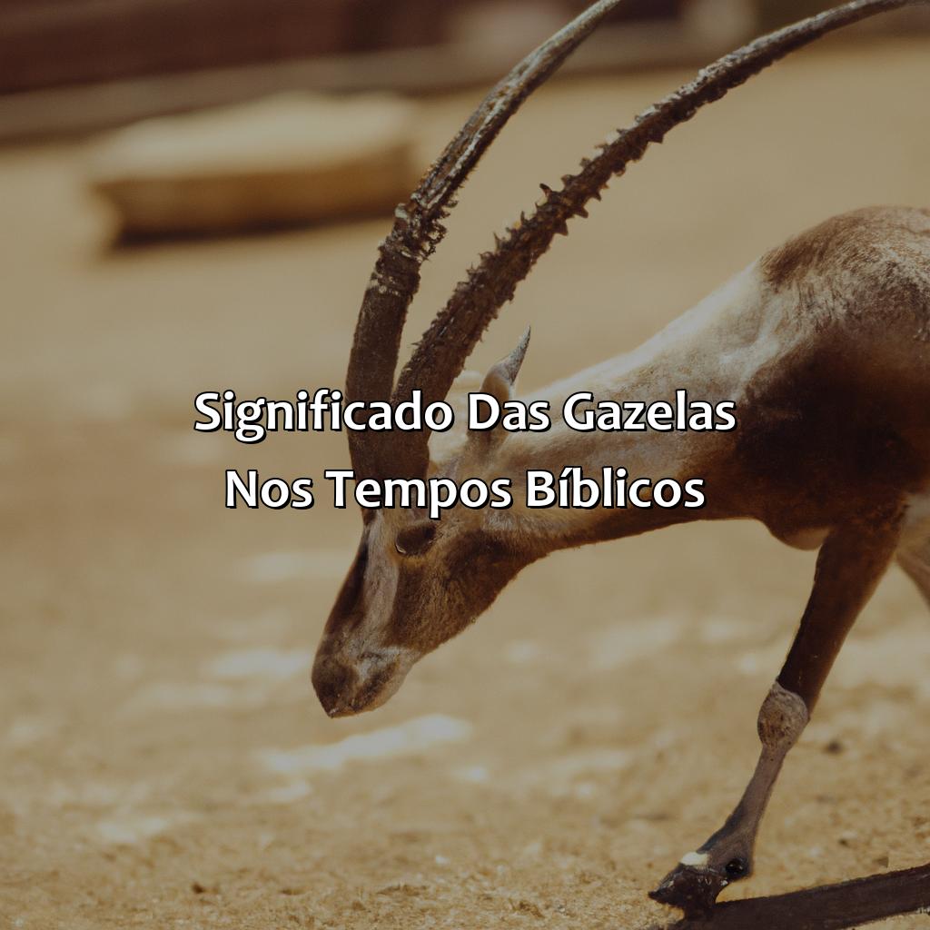 Significado das gazelas nos tempos bíblicos-o que significa gazela na bíblia, 