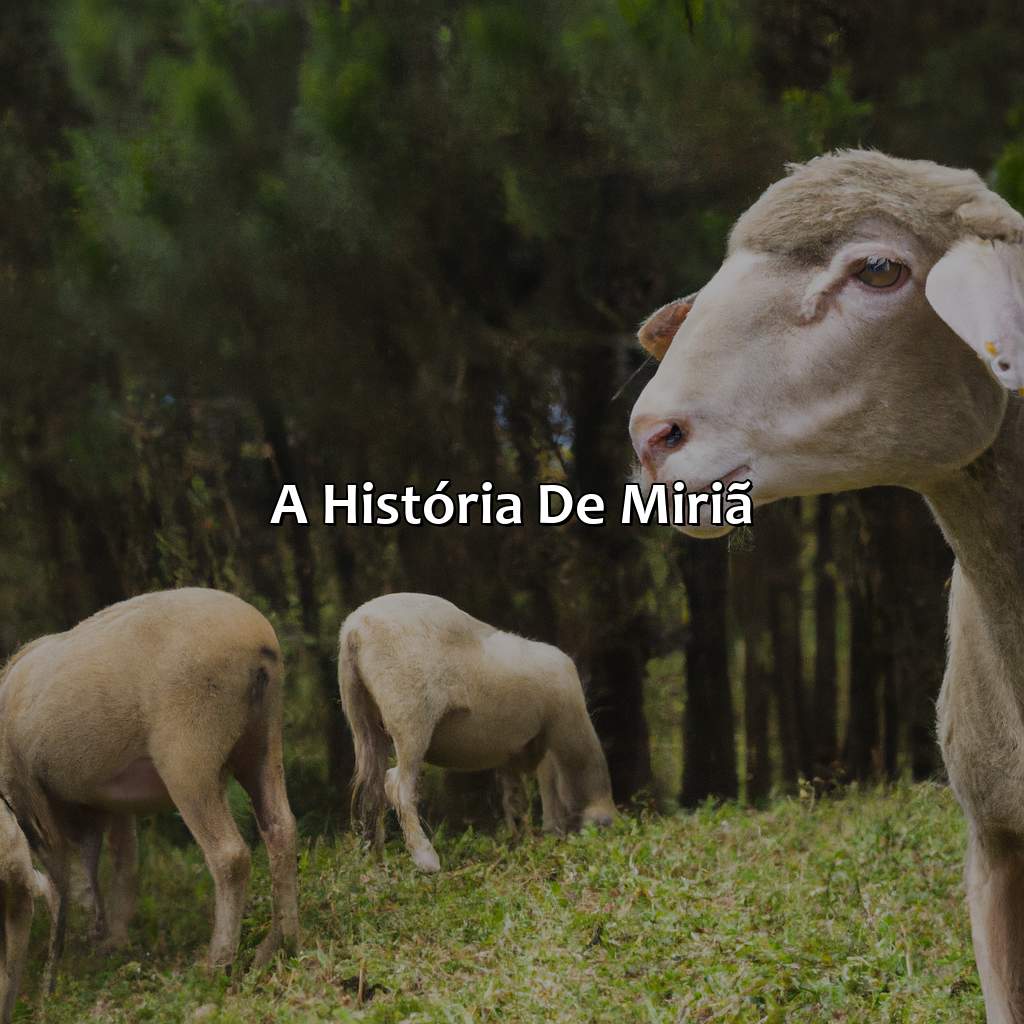 A história de Miriã-quem foi a primeira pastora descrita na bíblia, 